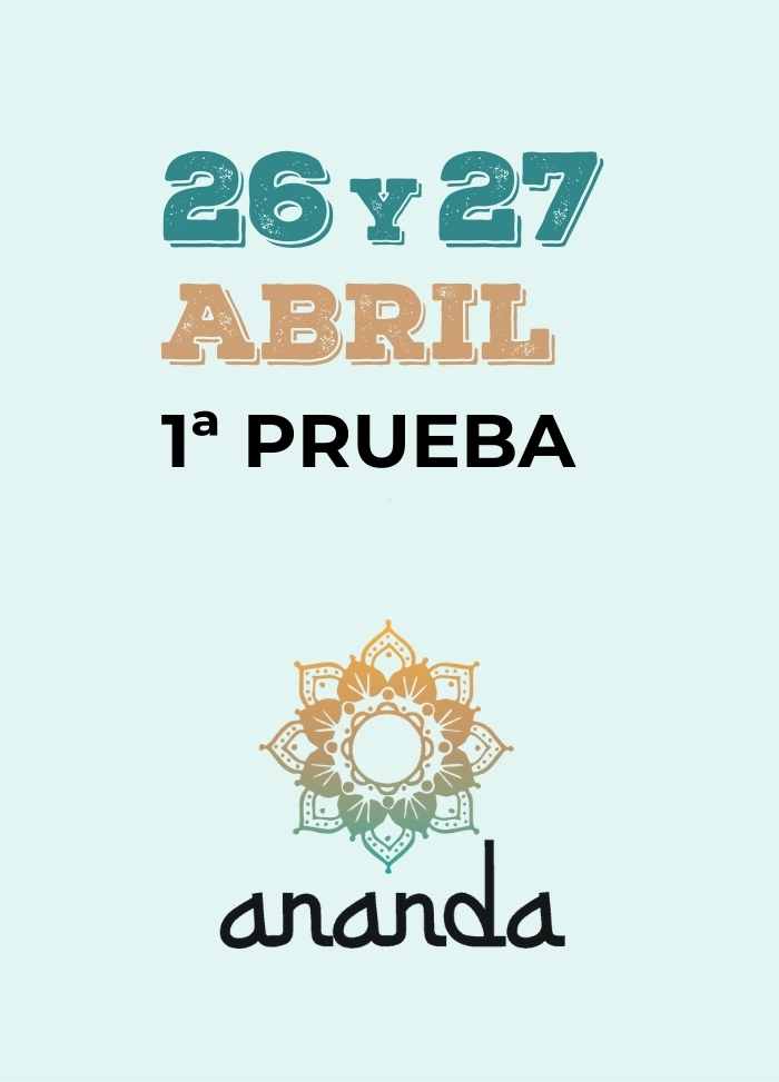 circuito-voleiboom-torneo-abril-2025
